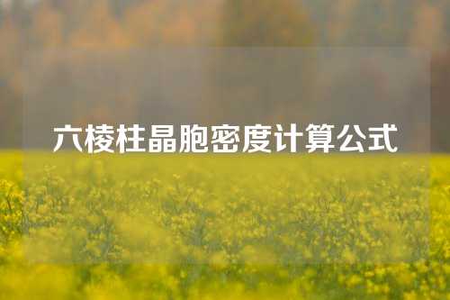 六棱柱晶胞密度计算公式