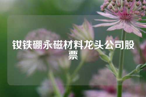 钕铁硼永磁材料龙头公司股票