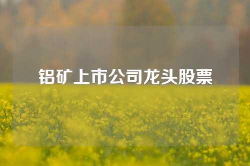 铝矿上市公司龙头股票