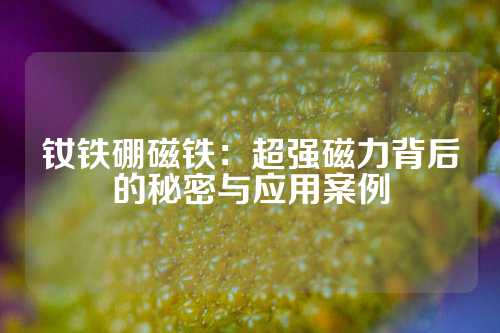 钕铁硼磁铁：超强磁力背后的秘密与应用案例