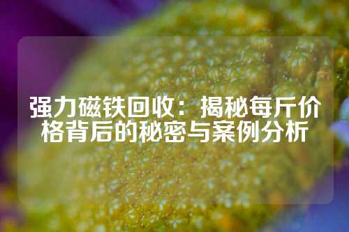 强力磁铁回收：揭秘每斤价格背后的秘密与案例分析