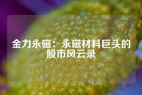 金力永磁：永磁材料巨头的股市风云录