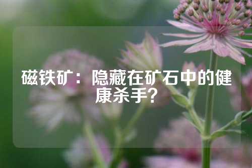 磁铁矿：隐藏在矿石中的健康杀手？