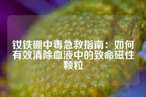 钕铁硼中毒急救指南：如何有效清除血液中的致命磁性颗粒