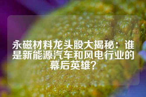 永磁材料龙头股大揭秘：谁是新能源汽车和风电行业的幕后英雄？