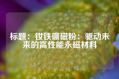 标题：钕铁硼磁粉：驱动未来的高性能永磁材料