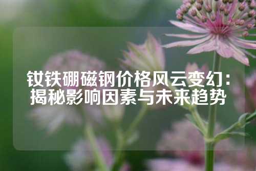 钕铁硼磁钢价格风云变幻：揭秘影响因素与未来趋势