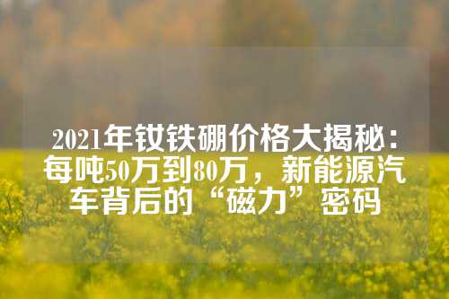 2021年钕铁硼价格大揭秘：每吨50万到80万，新能源汽车背后的“磁力”密码