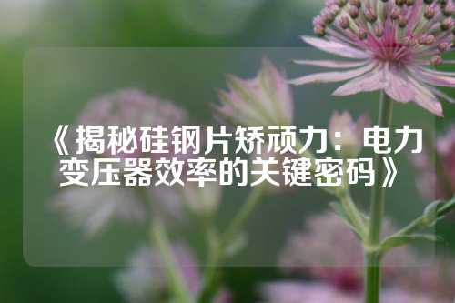 《揭秘硅钢片矫顽力：电力变压器效率的关键密码》