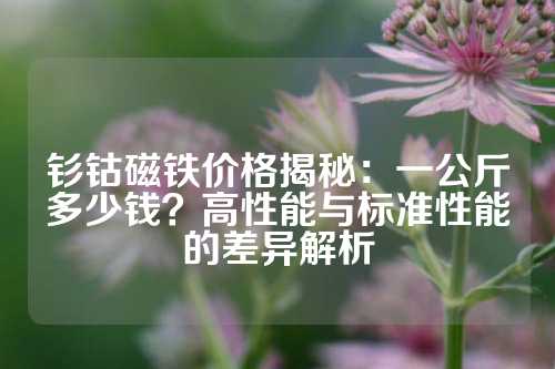 钐钴磁铁价格揭秘：一公斤多少钱？高性能与标准性能的差异解析