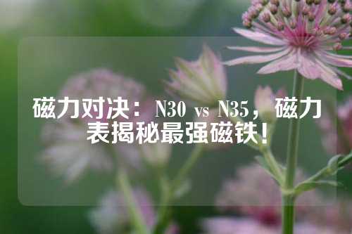 磁力对决：N30 vs N35，磁力表揭秘最强磁铁！