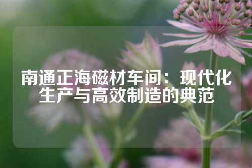 南通正海磁材车间：现代化生产与高效制造的典范