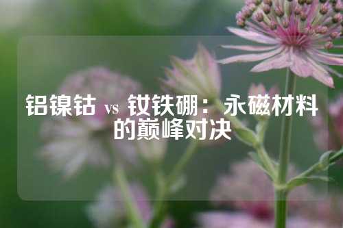 铝镍钴 vs 钕铁硼：永磁材料的巅峰对决