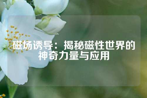 磁场诱导：揭秘磁性世界的神奇力量与应用