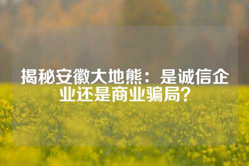 揭秘安徽大地熊：是诚信企业还是商业骗局？