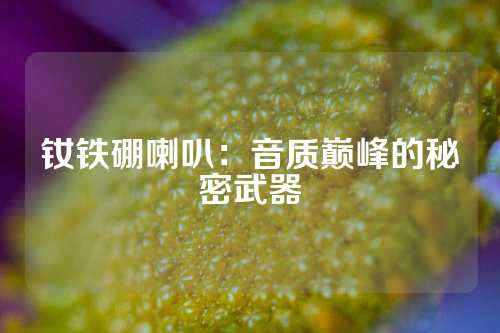 钕铁硼喇叭：音质巅峰的秘密武器