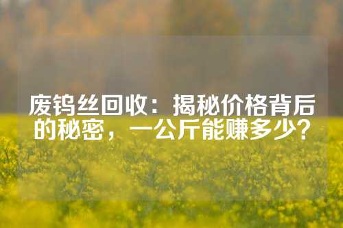 废钨丝回收：揭秘价格背后的秘密，一公斤能赚多少？