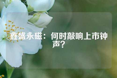 鑫盛永磁：何时敲响上市钟声？