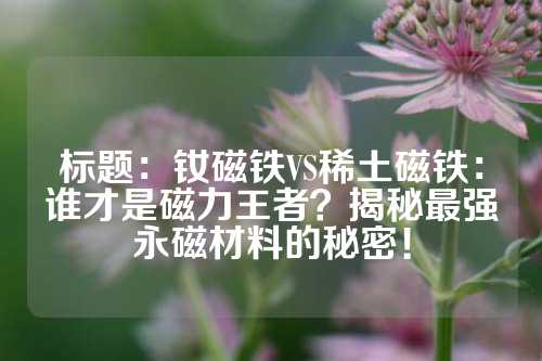 标题：钕磁铁VS稀土磁铁：谁才是磁力王者？揭秘最强永磁材料的秘密！