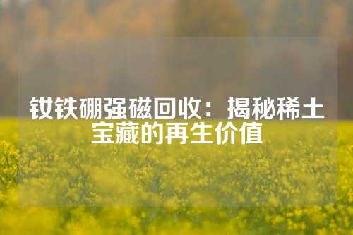 钕铁硼强磁回收：揭秘稀土宝藏的再生价值