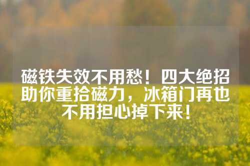 磁铁失效不用愁！四大绝招助你重拾磁力，冰箱门再也不用担心掉下来！