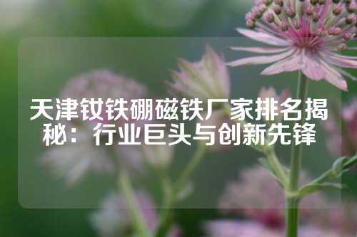 天津钕铁硼磁铁厂家排名揭秘：行业巨头与创新先锋