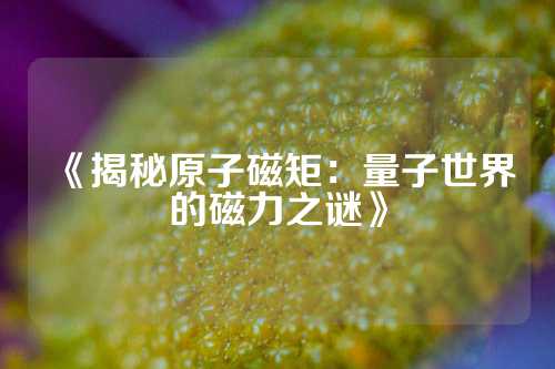 《揭秘原子磁矩：量子世界的磁力之谜》