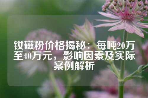 钕磁粉价格揭秘：每吨20万至40万元，影响因素及实际案例解析