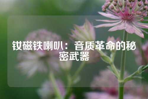 钕磁铁喇叭：音质革命的秘密武器