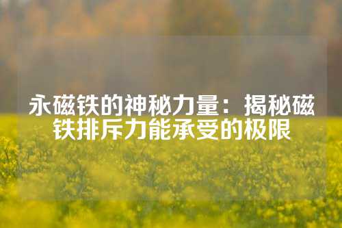 永磁铁的神秘力量：揭秘磁铁排斥力能承受的极限