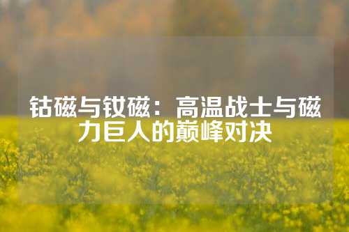 钴磁与钕磁：高温战士与磁力巨人的巅峰对决