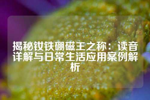 揭秘钕铁硼磁王之称：读音详解与日常生活应用案例解析