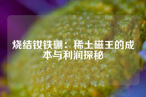 烧结钕铁硼：稀土磁王的成本与利润探秘