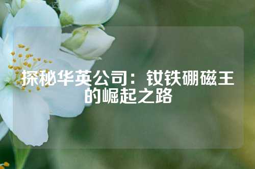 探秘华英公司：钕铁硼磁王的崛起之路