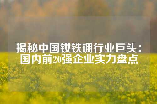 揭秘中国钕铁硼行业巨头：国内前20强企业实力盘点