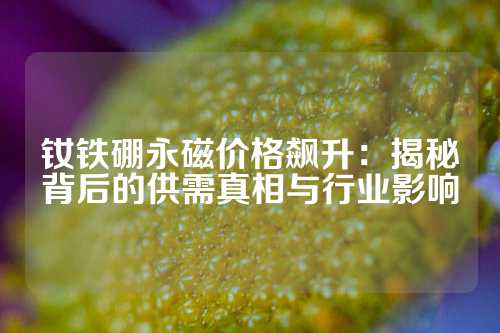 钕铁硼永磁价格飙升：揭秘背后的供需真相与行业影响