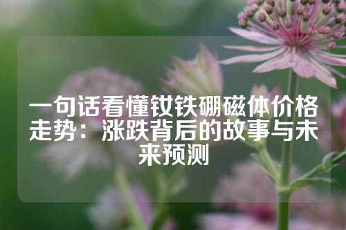 一句话看懂钕铁硼磁体价格走势：涨跌背后的故事与未来预测