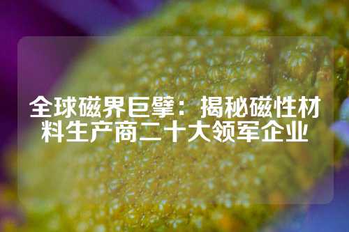 全球磁界巨擘：揭秘磁性材料生产商二十大领军企业