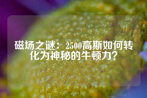 磁场之谜：2500高斯如何转化为神秘的牛顿力？