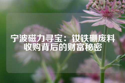 宁波磁力寻宝：钕铁硼废料收购背后的财富秘密