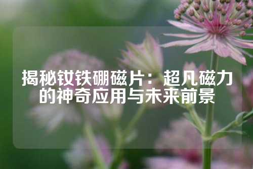 揭秘钕铁硼磁片：超凡磁力的神奇应用与未来前景