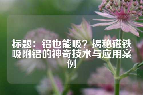 标题：铝也能吸？揭秘磁铁吸附铝的神奇技术与应用案例