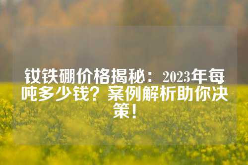 钕铁硼价格揭秘：2023年每吨多少钱？案例解析助你决策！