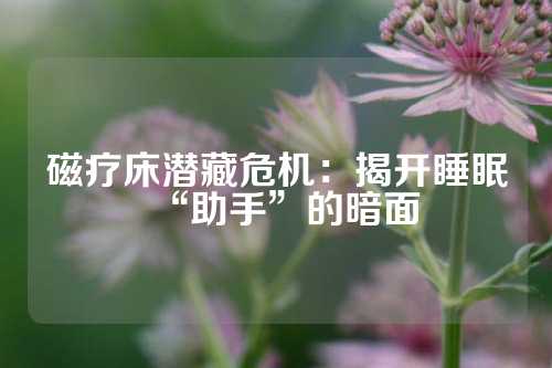 磁疗床潜藏危机：揭开睡眠“助手”的暗面