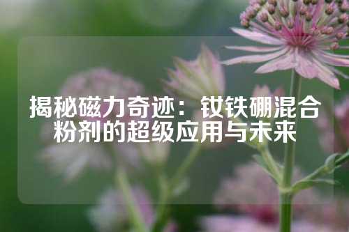 揭秘磁力奇迹：钕铁硼混合粉剂的超级应用与未来