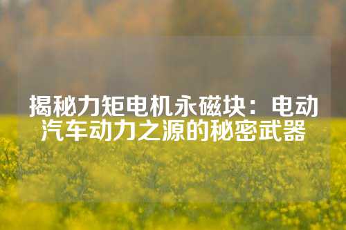 揭秘力矩电机永磁块：电动汽车动力之源的秘密武器