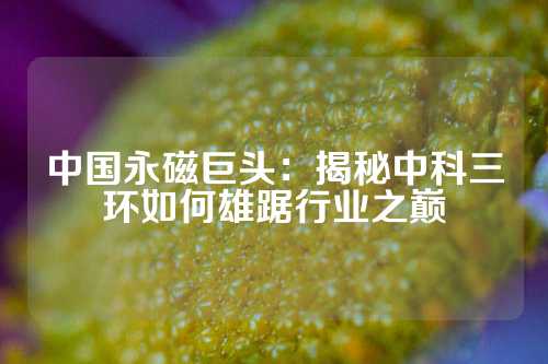 中国永磁巨头：揭秘中科三环如何雄踞行业之巅