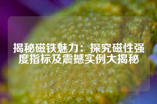 揭秘磁铁魅力：探究磁性强度指标及震撼实例大揭秘