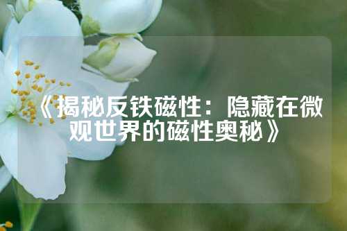 《揭秘反铁磁性：隐藏在微观世界的磁性奥秘》