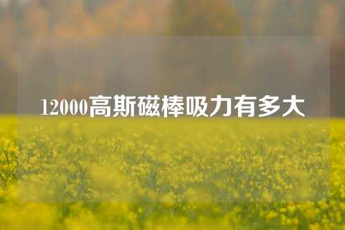 12000高斯磁棒吸力有多大